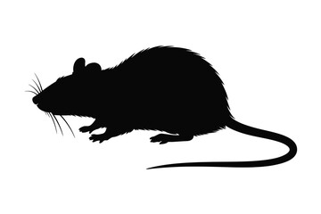 Black silhouette of a rat on a white background