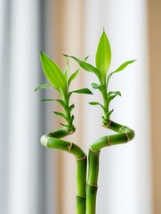 Fototapeta premium Close-up of lush green bamboo stems against a soft-focus, neutral background. Premium textures, vibrant yet balanced lighting, inspired by Scandinavian hygge. No text or logos.