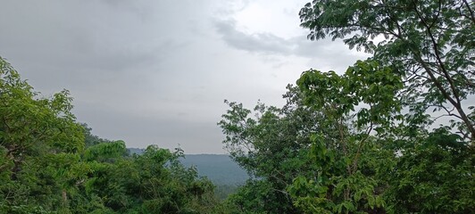 Obraz premium landscape view of valley surrounded by forest