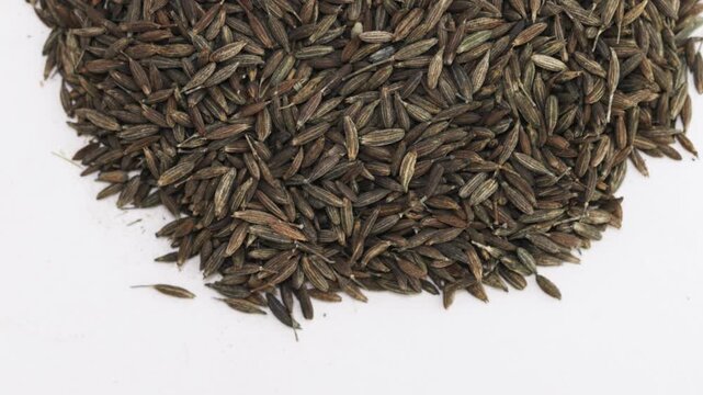 Whole cumin seeds slowly rotating on white background in a seamless 360-degree loop.