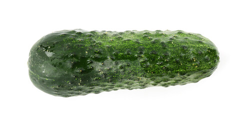 One fresh green cucumber isolated on white