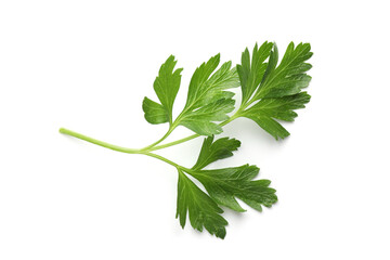 Sprig of fresh parsley isolated on white