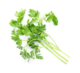 Sprigs of fresh parsley isolated on white, top view