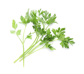 Sprigs of fresh parsley isolated on white, top view