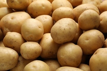 Fresh raw potatoes as background, closeup view