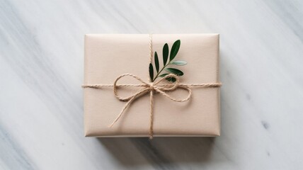 Eco Friendly Gift Box Wrapped with Twine and Green Leaves
