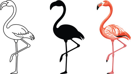 Obraz premium Elegant flamingo designs line art silhouette vibrant color options