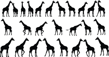 Naklejka premium Twenty giraffe silhouettes arranged in rows, standing and interacting poses, black vector on white background, wildlife symmetry, animal illustration artwork