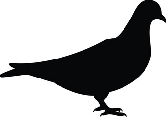 Dove Bird Silhouette Image, Black Color, Isolated on White Background
