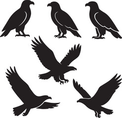 Majestic bald eagle illustration in flight