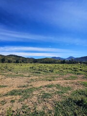 landscape with mountains