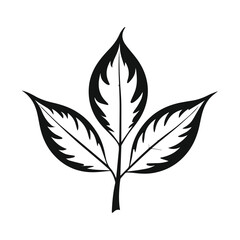 silhouette of a tree