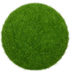 3D Round Grass Ball Isolated on Transparent Background