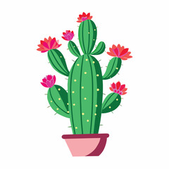 Green cactus with pink and red flowers in a pot plant