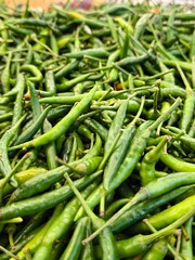 Nature's fiery jewels, a bounty of green chilies.