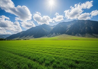 Fototapeta premium Vast green field with rolling hills and mountains under a bright sunny sky with clouds