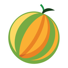 vector illustration of an orange fruit