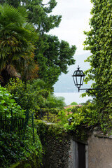 An old street lamp in a gap between greenery overlooking the Como Lake, Lombardia, Italy