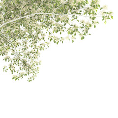 Various types of tree branch plants bushes shrub and and small plants isolated	
