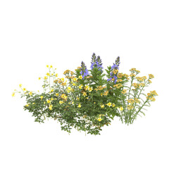 Various types of flowers grass bushes shrub and small plants isolated