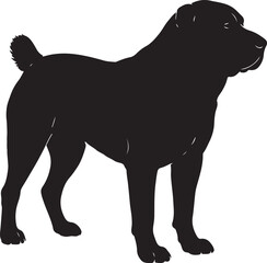 Alabai central asian shepherd dog in profile silhouette