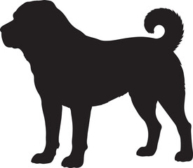 Majestic alabai central asian shepherd dog standing proudly silhouette