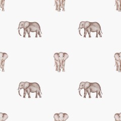 Watercolor elephant pattern design for fabric and packaging on a seamless white background