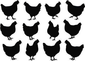 Chicken silhouette set, various poultry poses, farm animal illustration, vector icon pack, rural theme, editable, livestock graphics, agriculture.