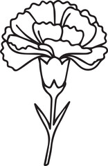 Simple Line Art Carnation Flower Illustration