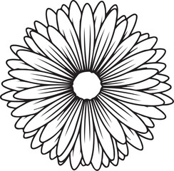Stylized gerbera daisy flower in black and white line art with radiating layered petals.