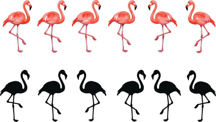 Six pink flamingos and six black silhouettes, standing on one leg, side-by-side artwork, bird posture comparison, wildlife vector illustration