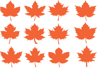 maple leaf set silhouette vector. Maple leaf icon. Autumn leaf vector illustration