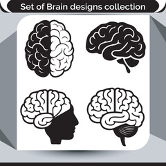 A Detailed Set of Brain Design Illustrations Representing Different Perspectives of the Human Brain Anatomy and Physiology