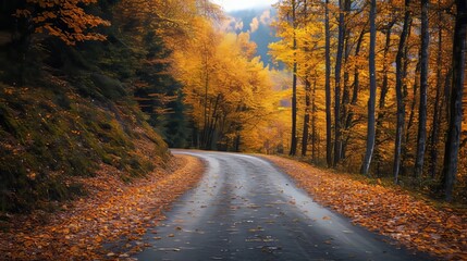Obraz premium Picturesque autumn road meandering through a vibrant mountain forest landscape filled with color