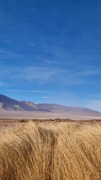 Andean landscape in the Argentine Puna overlooking the town of Tolar with mountains