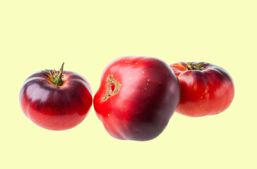 Close up view of three ripe Black Prince tomatoes with dark red and purple skin isolated on light yellow background.