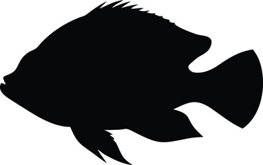 Silhouette of Fish in Black Color Isolated Over White Background Fresh and Clean