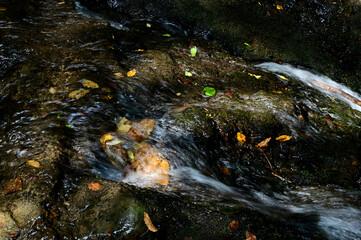 small waterfall cascading, trickling down on rocks. closeup view. lush green moss covered damp rocks. nature and outdoors concept. sound of dropping water. tranquil creek scene. peace and quiet