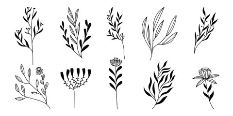 Set of Floral flower hand drawn for romantic or vintage design