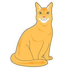 vector illustration of a cat