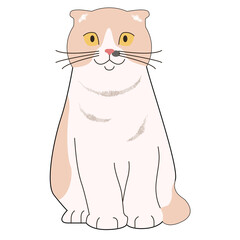vector illustration of a cat