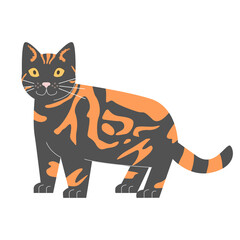 vector illustration of an orange cat