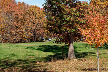 Golfing in late autumn