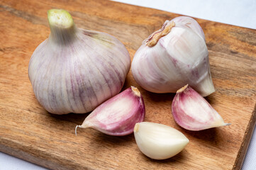 Fresh young heads of purple or violet French garlic close up