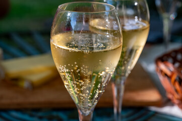 Two fluite glasses of sparkling white wine with bubbles champagne in sunny garden with old iron furniture on French village in Cote des Bar, Champagne region, France in summer