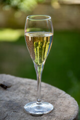 Drinking of sparkling white wine with bubbles champagne in sunny garden in old French village in Cote des Bar, Champagne region, France in summer