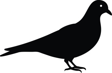 Pigeon Silhouette Shape with Bird Profile on White Background