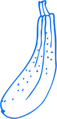 A long zucchini or cucumber with simple ribbed detailing, fresh veggie sketch