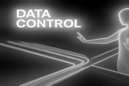 Digital Traffic Controller with Network Flow for Data Management and Optimization