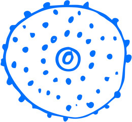 A fruit slice showing radial pattern and seed texture, exotic fruit sketch